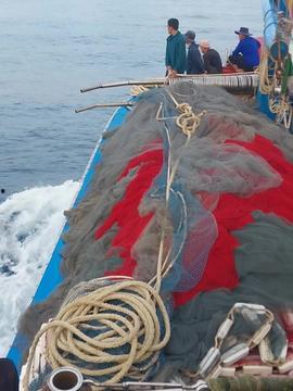 围网渔船视频,海洋捕捞的生动写照