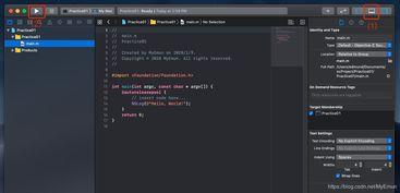 c项目视频,技术要点与实战技巧全揭秘