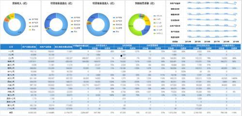 财务报表分析视频